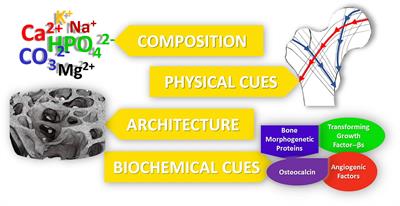 Nanostructured Biomaterials for Bone Regeneration